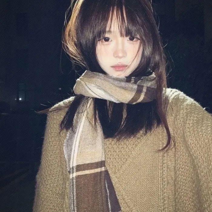 明月守护者